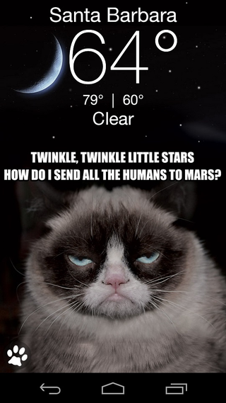 Illustration for article titled The Grumpy Cat Weather App Won't Sugar Coat Things For You